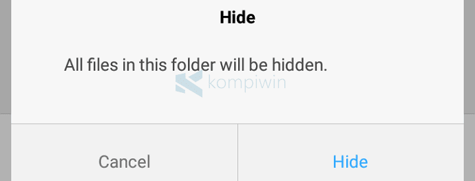 file hidden